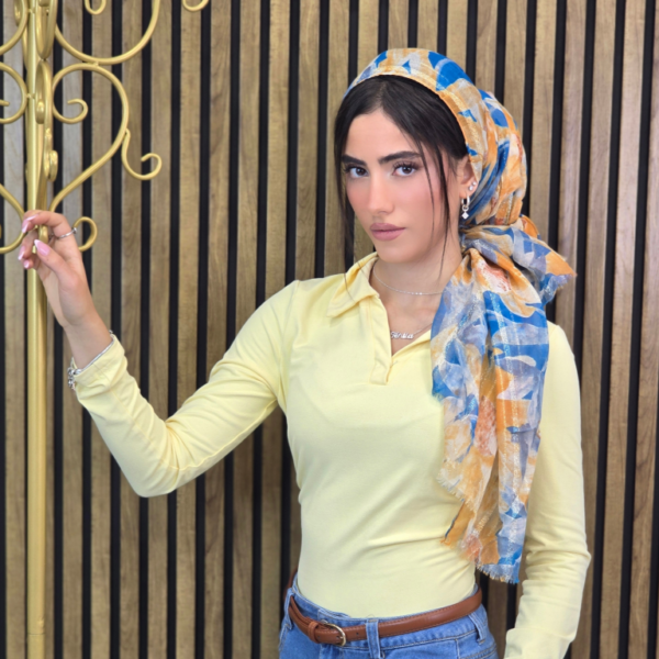 נגיעה של מלכות